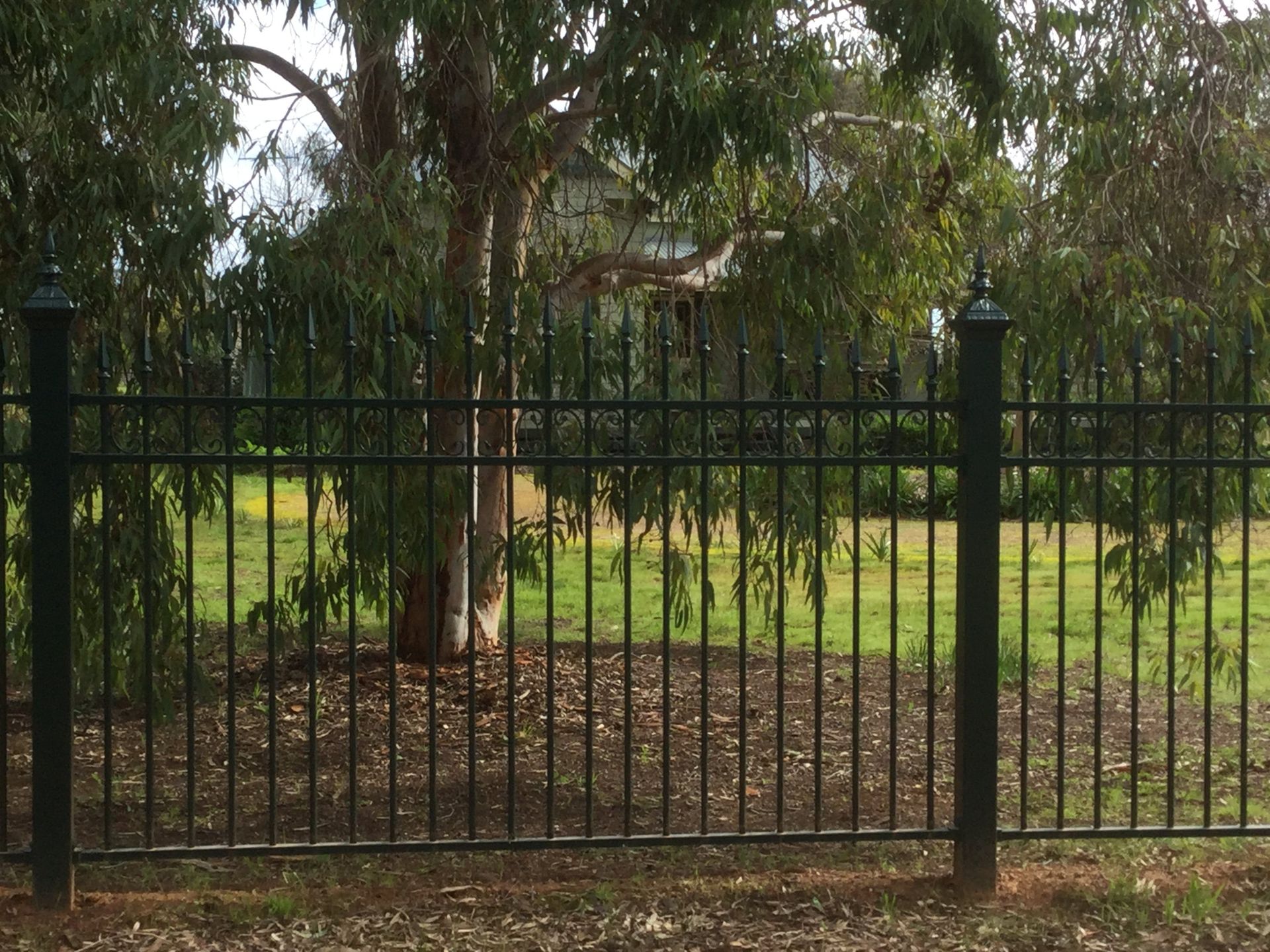 Fence & Gate Photos in Shepparton by Shepp City Fencing